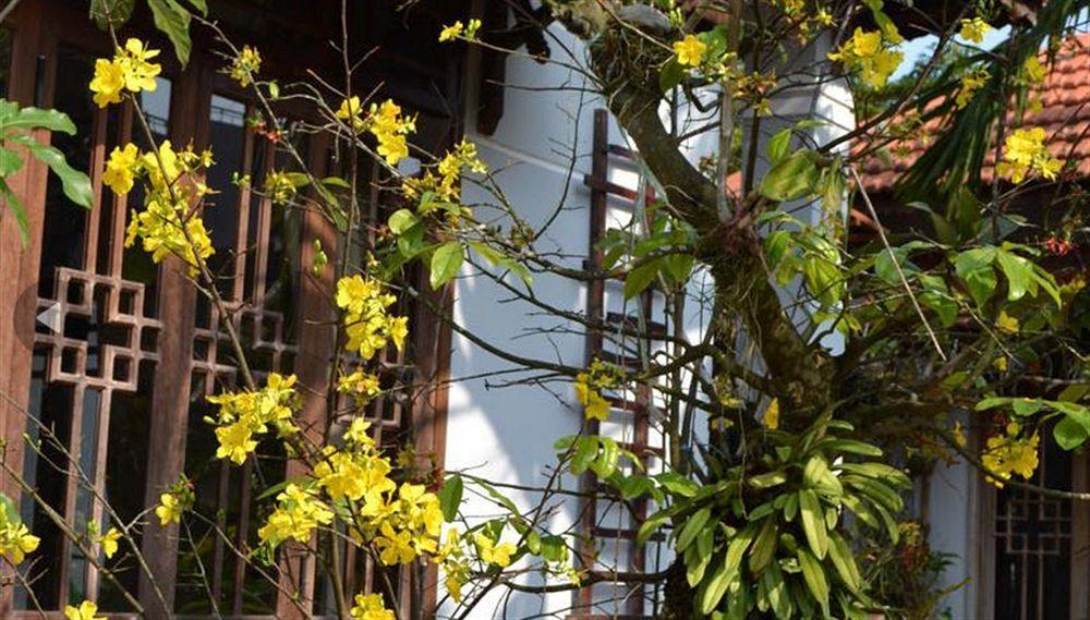The Hoi An Orchid Garden Villas Bagian luar foto