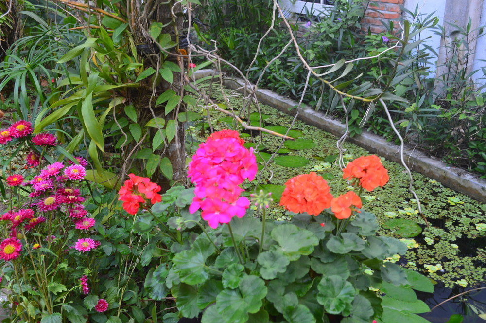 The Hoi An Orchid Garden Villas Bagian luar foto