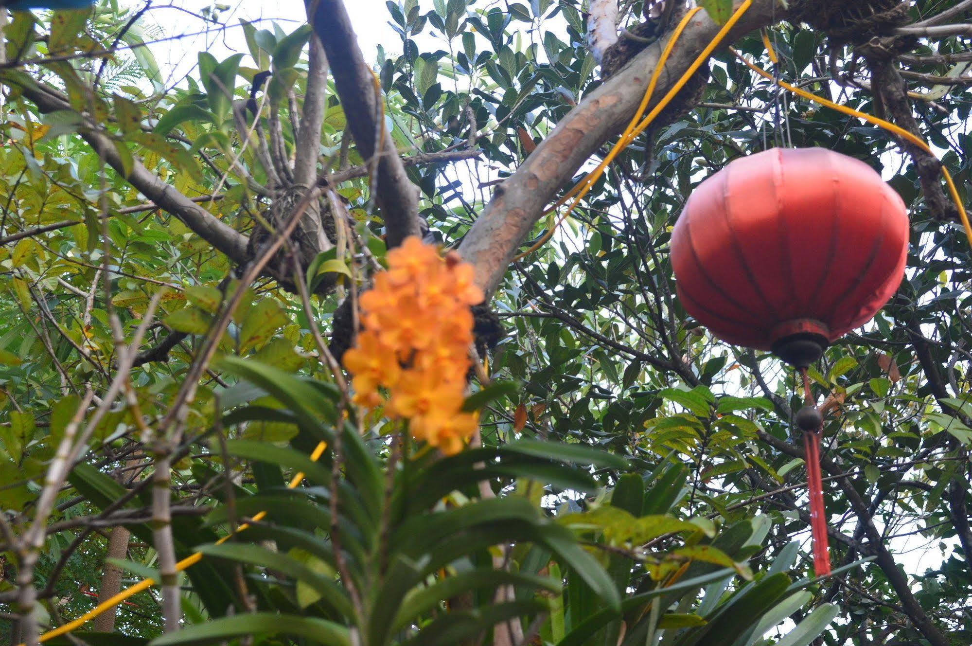 The Hoi An Orchid Garden Villas Bagian luar foto